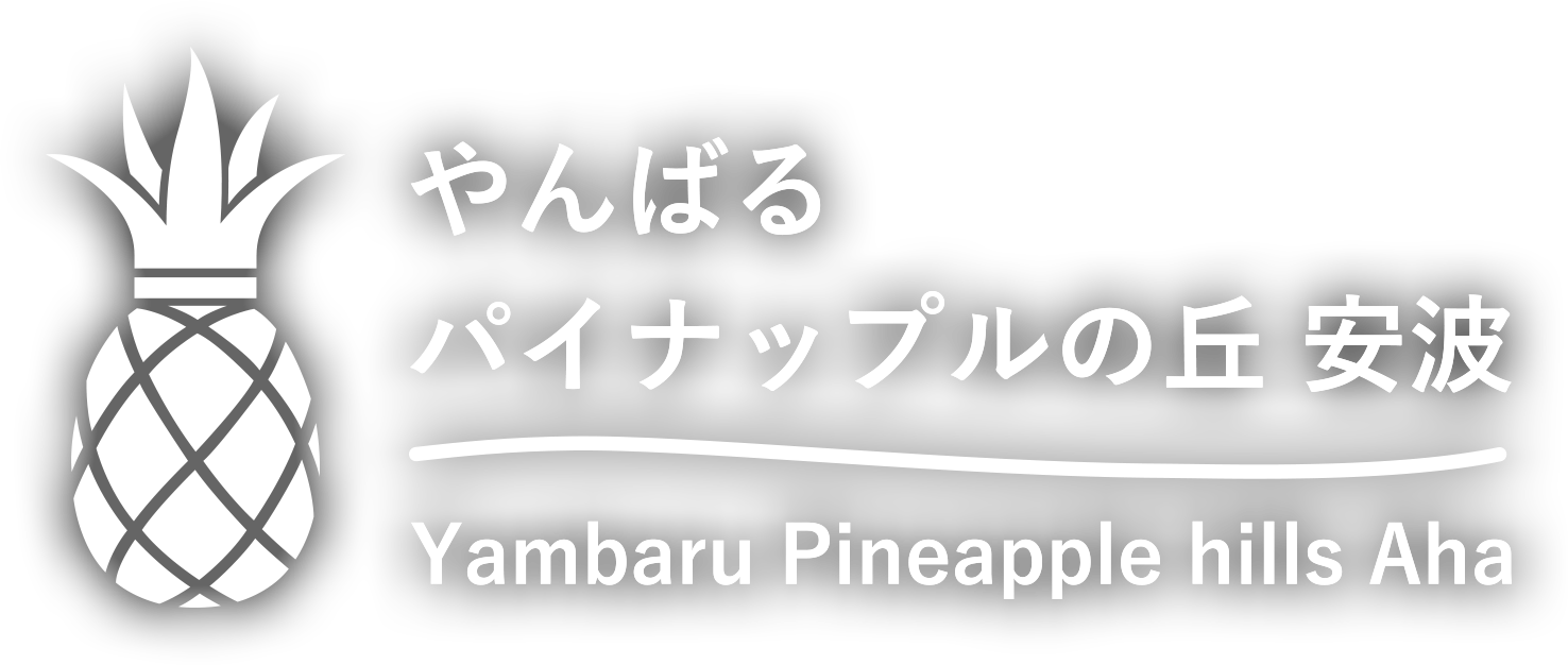 道の駅やんばるパイナップルの丘安波